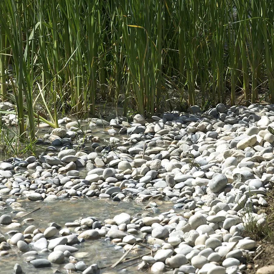 galet-roule-gris-mixte-20-50-riviere