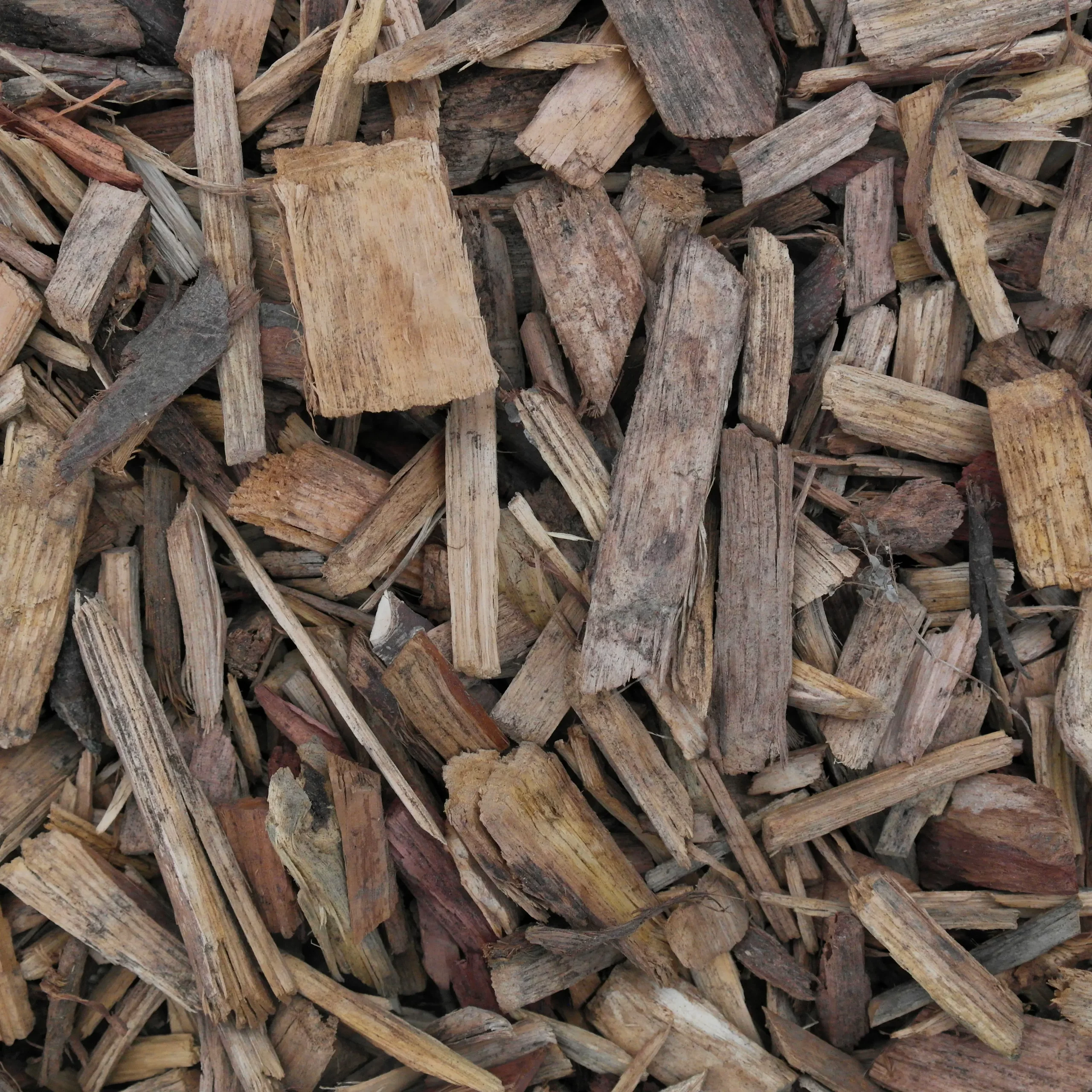 plaquette-bois-forestiere